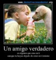 /album/fotogaleria/imagenes-compiladas-imagenes-de-amistad-1-jpg/